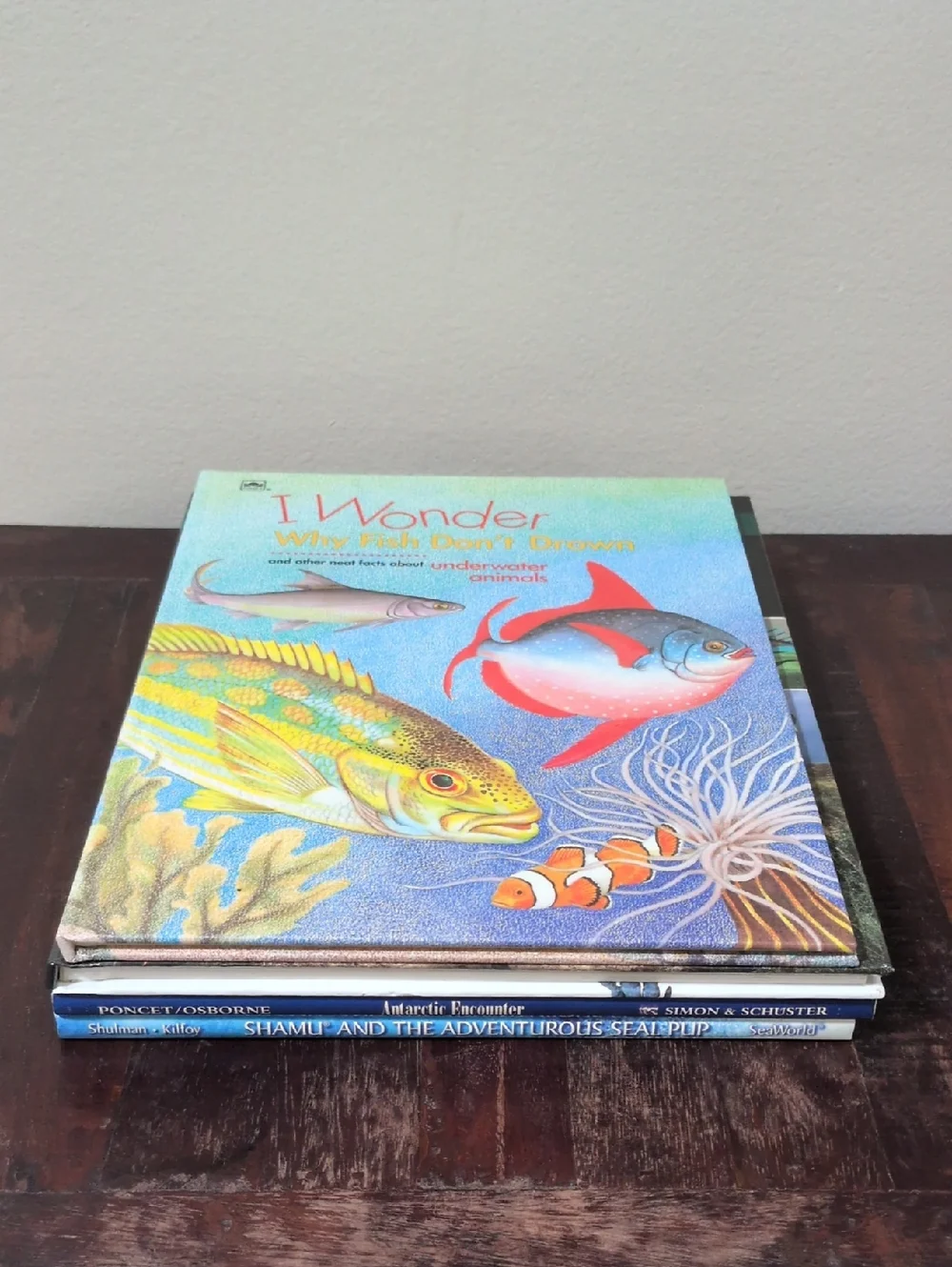 Misc. Authors & Titles Children's Literature Lot of 4 Nonfiction Hardback Books